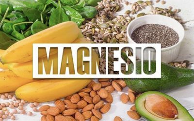 La importància del Magnesi